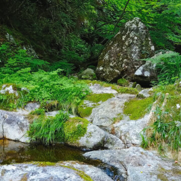 山陽山陰-岡山1_1-2